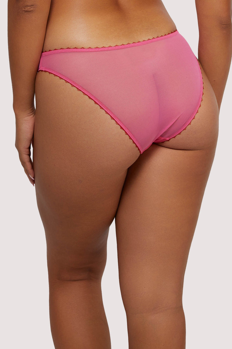 Model Back view of Pink Brazilian mesh brief with burgundy trim