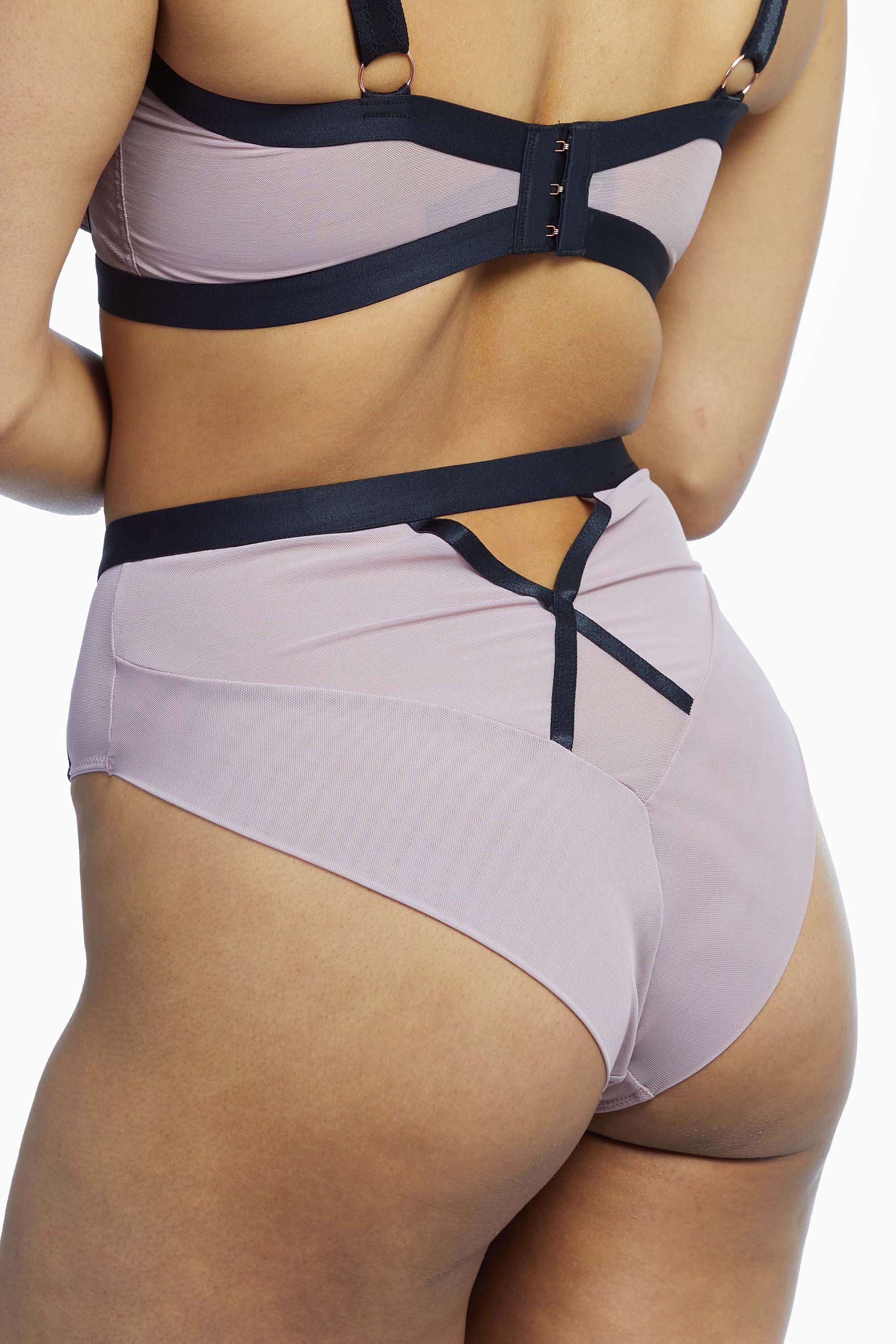 Sheer Chic High Waist Brief
