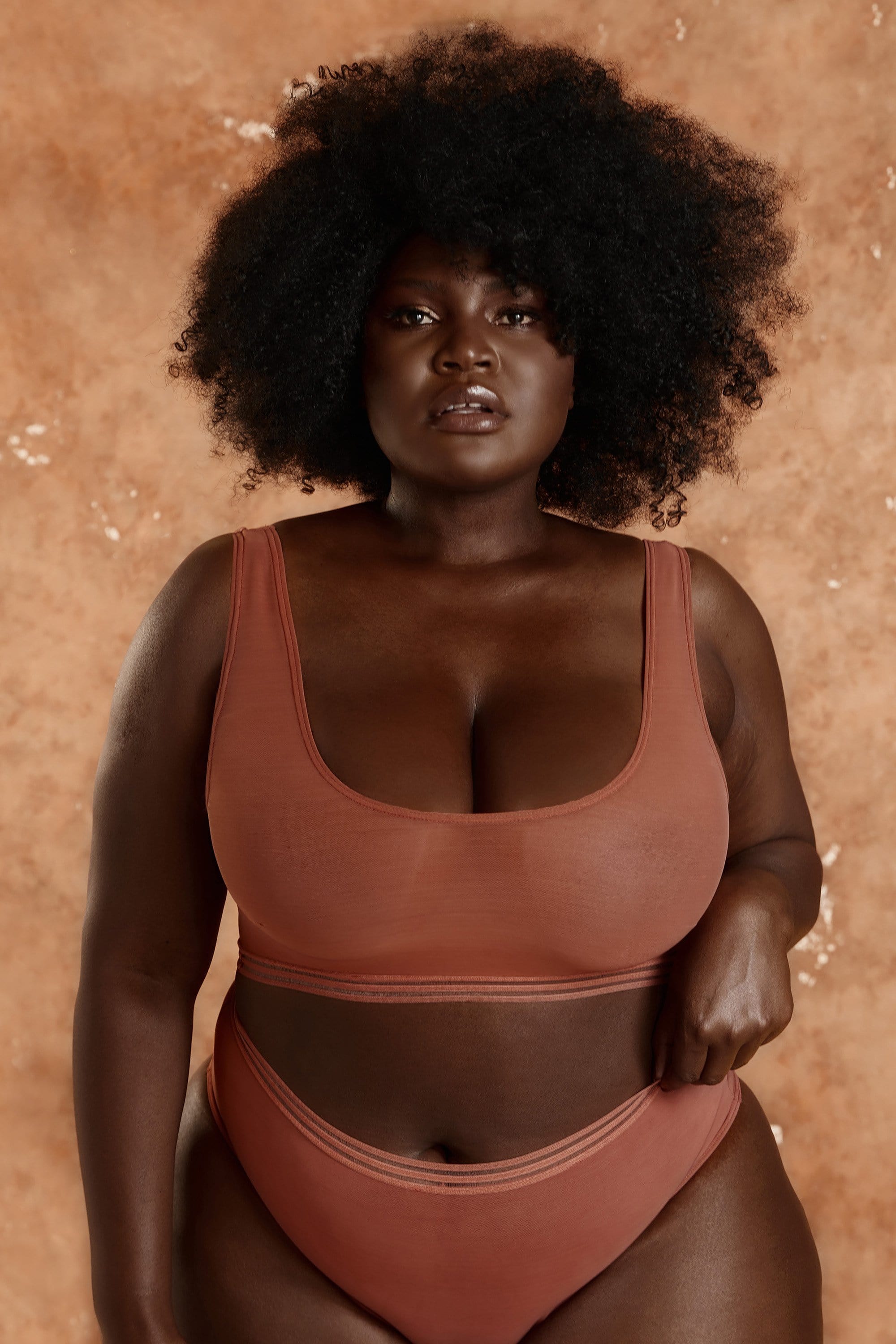 Chelsea Cinnamon Mesh Crop Top
