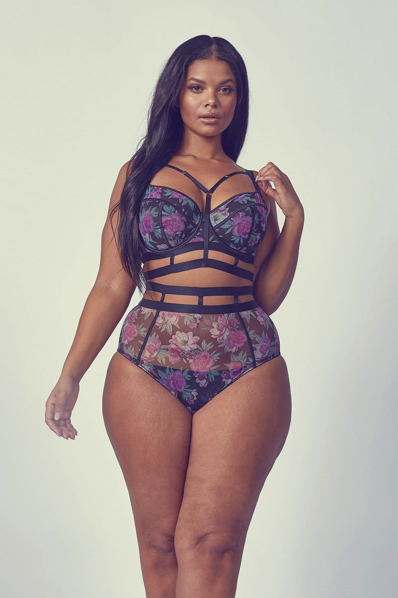 Curve