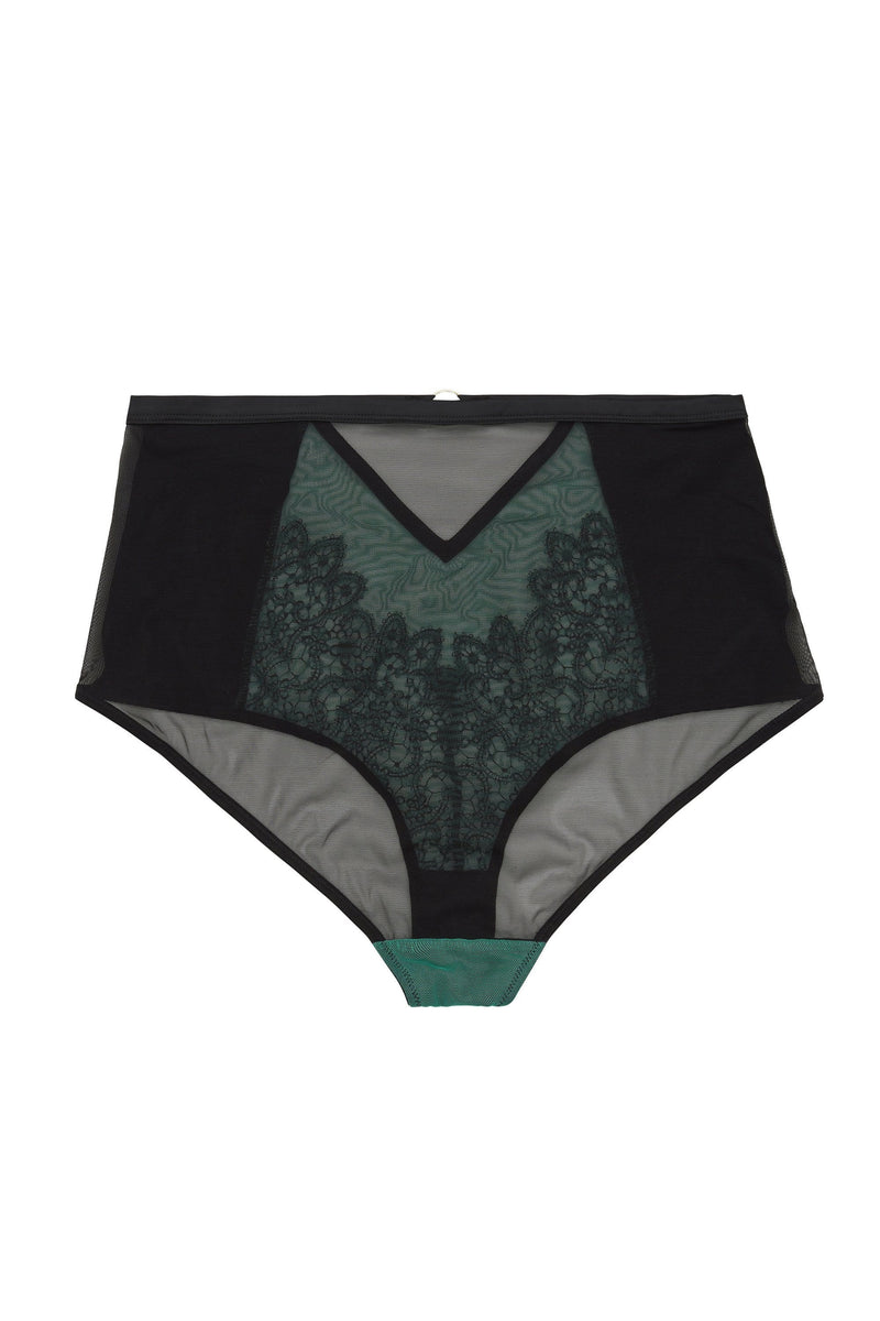 Emelda High Waist Brief Curve
