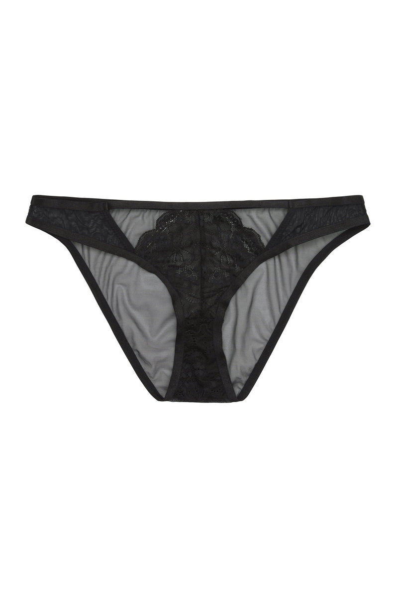 Phoebe Lace & Mesh brief