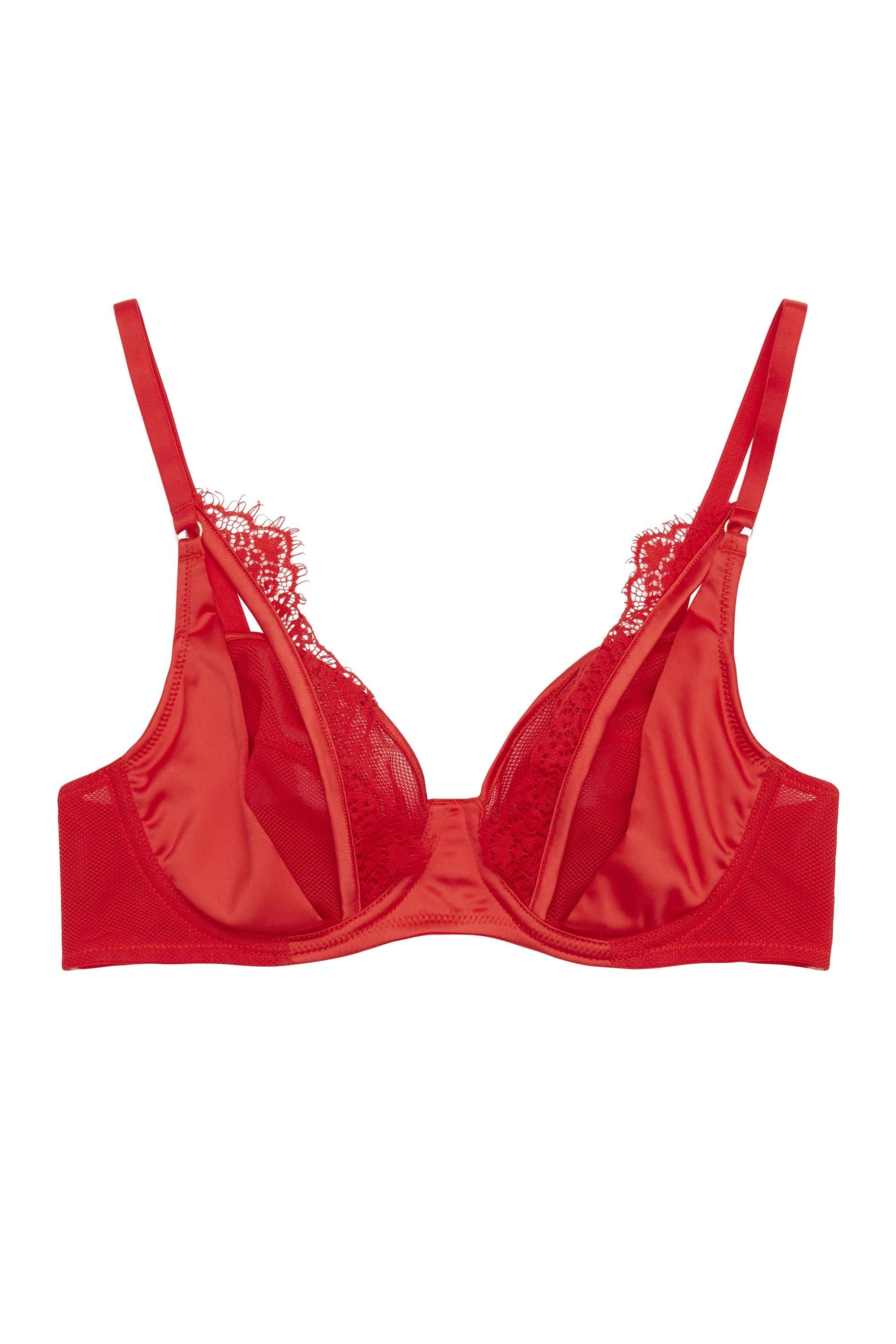 Zoya Fishnet and Lace Plunge Bra A - D