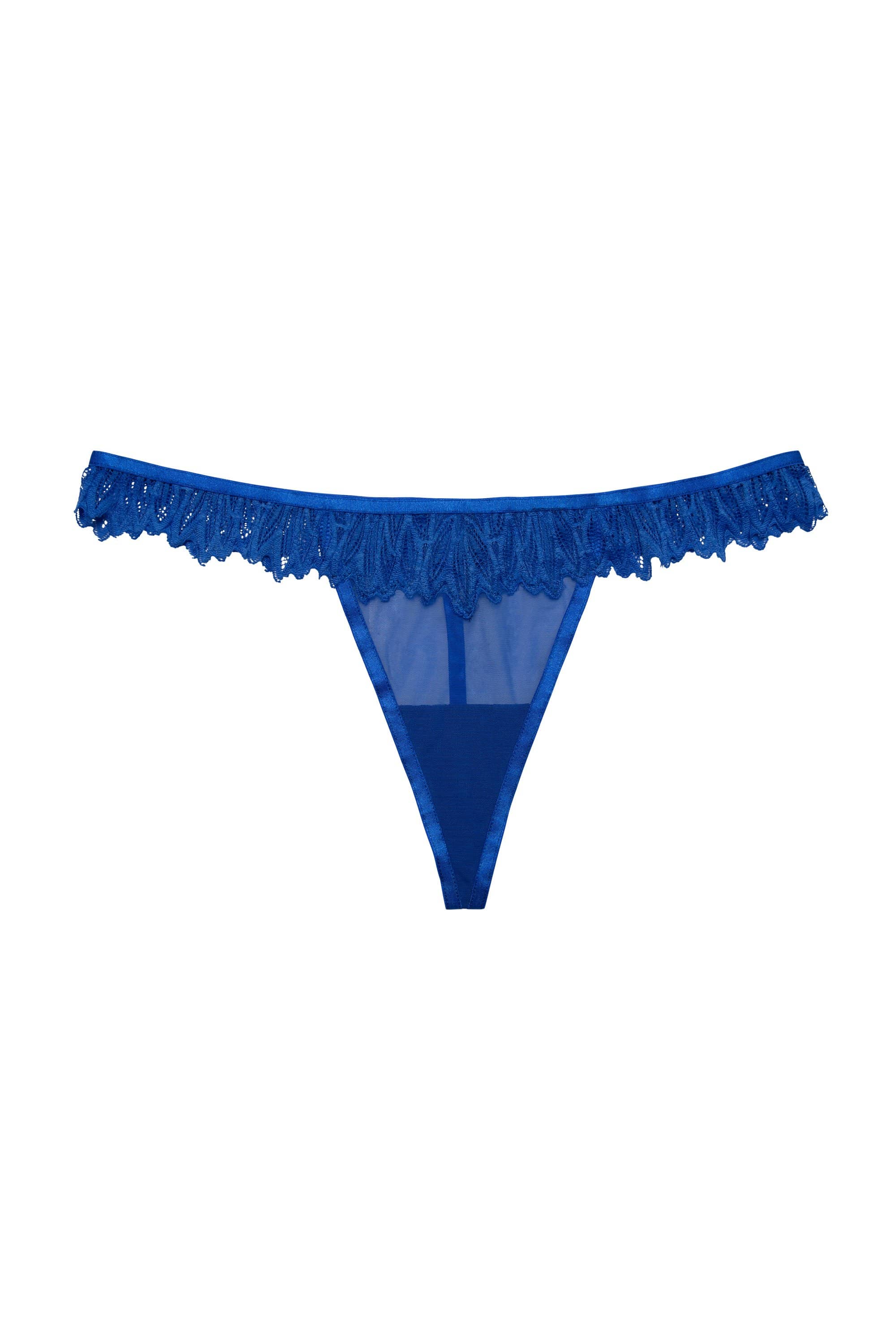 Hustler Margot Cobalt Lace and Mesh Hipster Brief