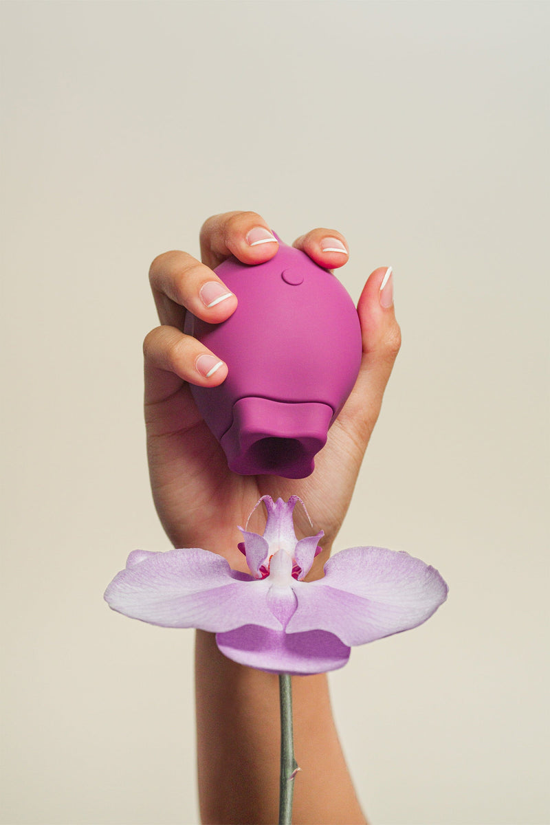 The Poet Suction Clitoral Vibrator
