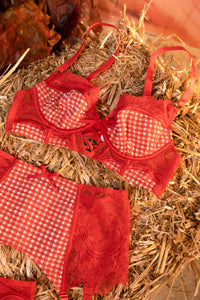 Red gingham and lace thong, with matching suspender and bra.