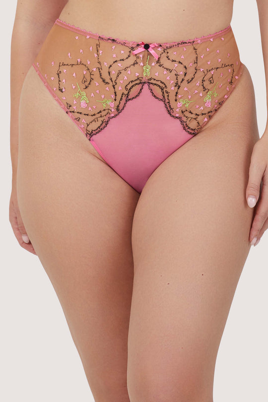 Spank Me Pink and Nude Custom Embroidery High waist Thong