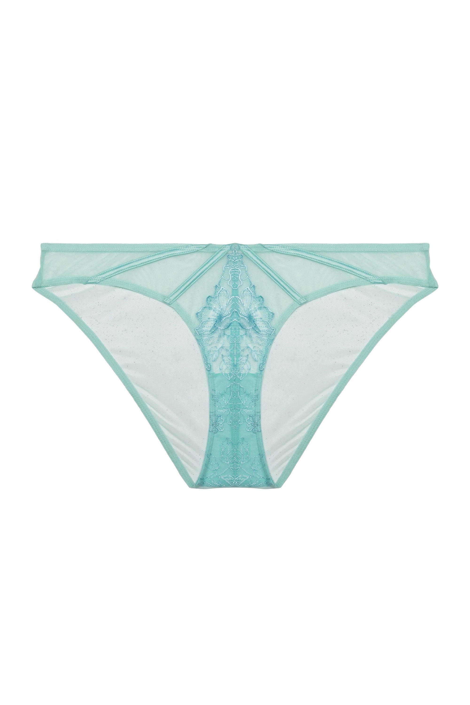 Aqua Sheer high-leg brief in aqua mesh, featuring delicate floral embroidery, satin strap detailing, and a soft cotton gusset for comfort and style.