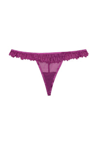 Margot Violet Lace and Mesh Hipster Brief