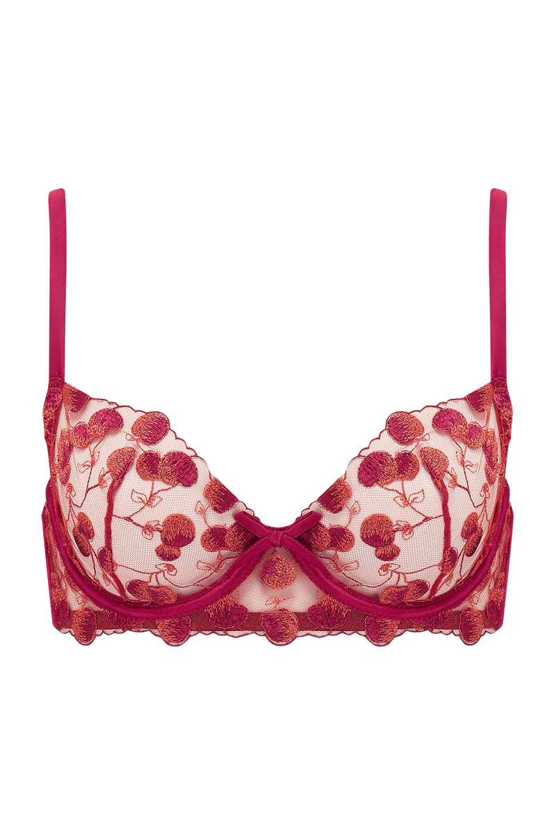 Naomi Cherry Plunge Bra – Playful Promises Australia