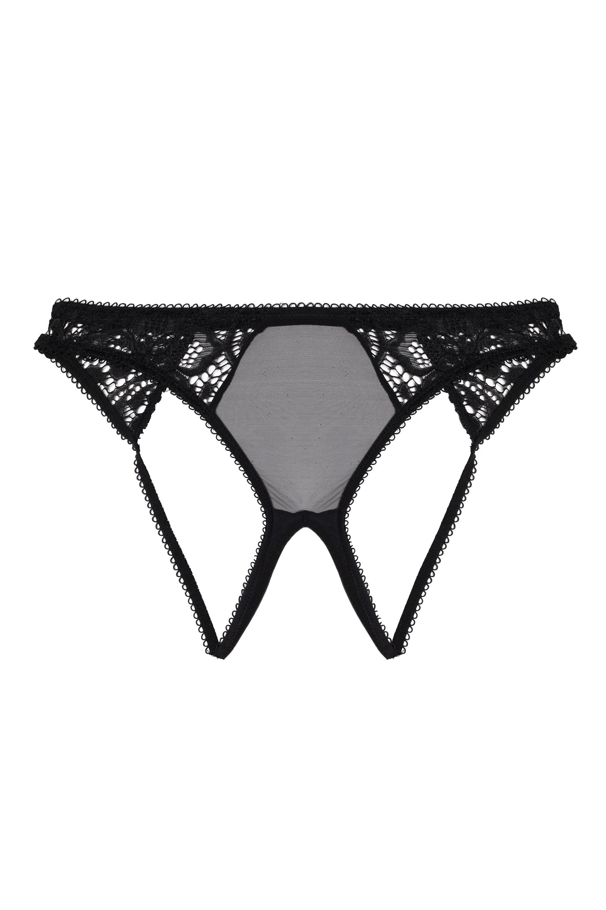 Black Lace And Mesh Ouvert Brief