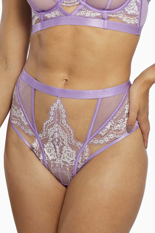 Fenella Lace and Net High Waist Brief Core