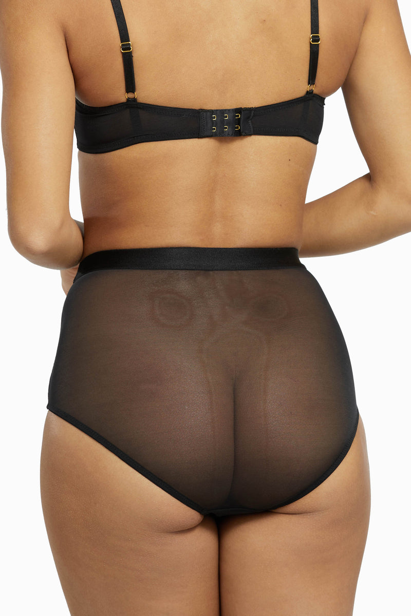 Regalia Colette Mesh Panelled High Waist Brief