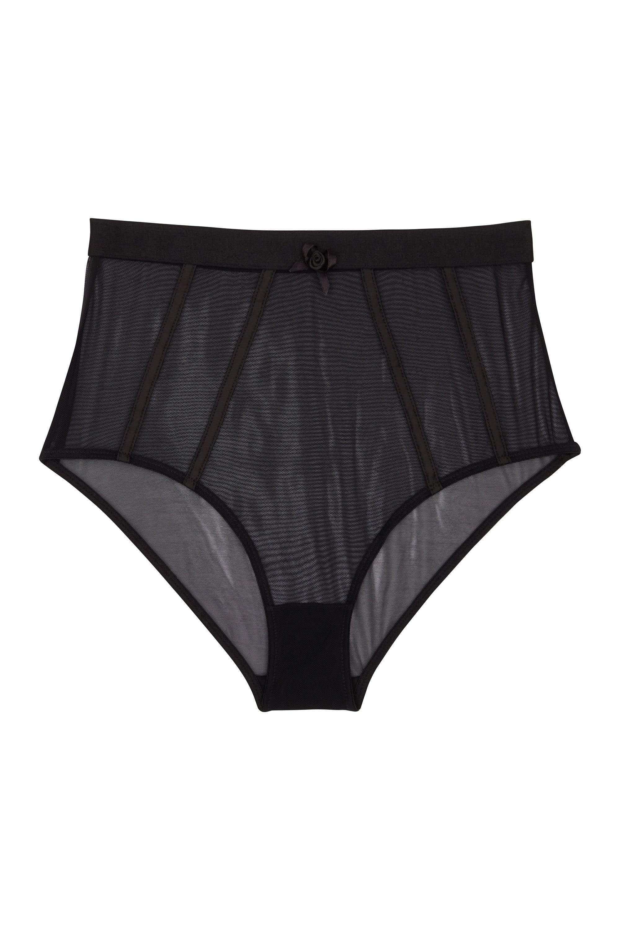 Regalia Colette Mesh Panelled High Waist Brief