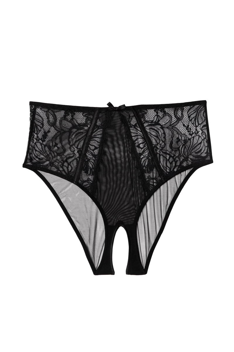 Fallon Black Lace and Mesh High Waisted Crotchless Brief